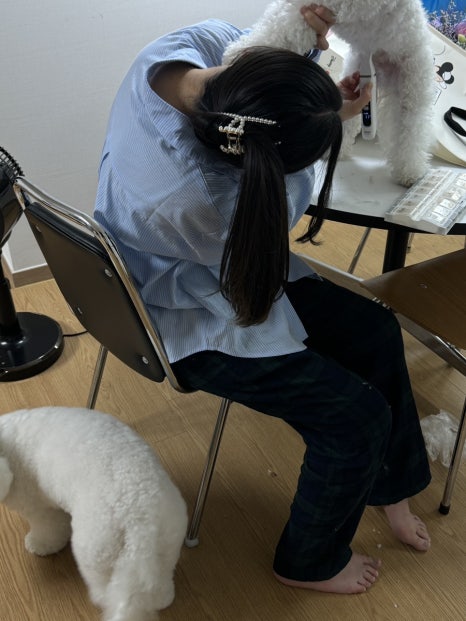 복덩이찐빵 이미지