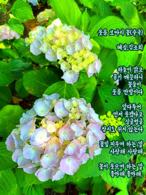 웃음보따리 이미지