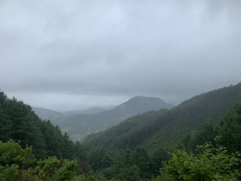 알파무주점 이미지