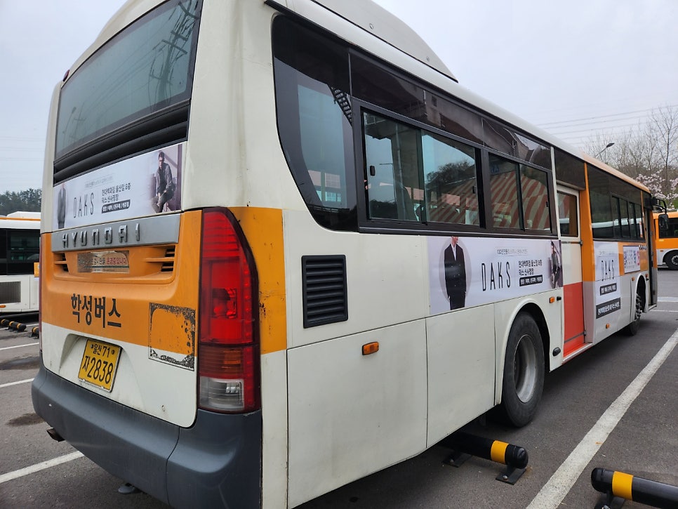 현대울산닥스정장 이미지