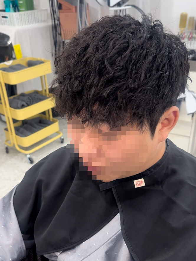 보르미 헤어 이미지