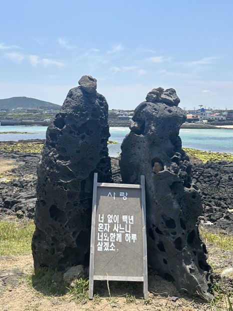 돗집 이미지