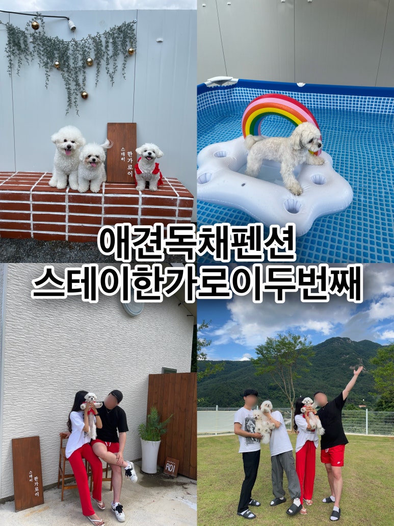 스테이한가로이 이미지