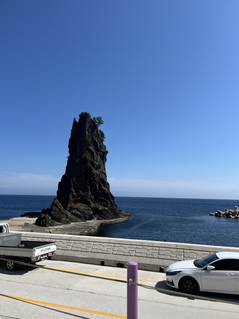 이스트독도 이미지