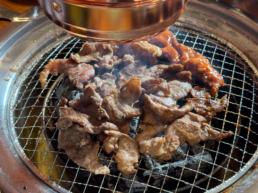 갈매기 학교 이미지