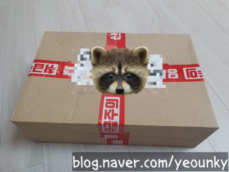다인스그랜파 이미지