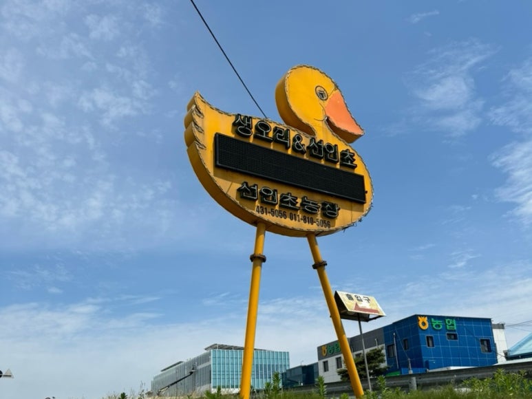 생오리마당 이미지