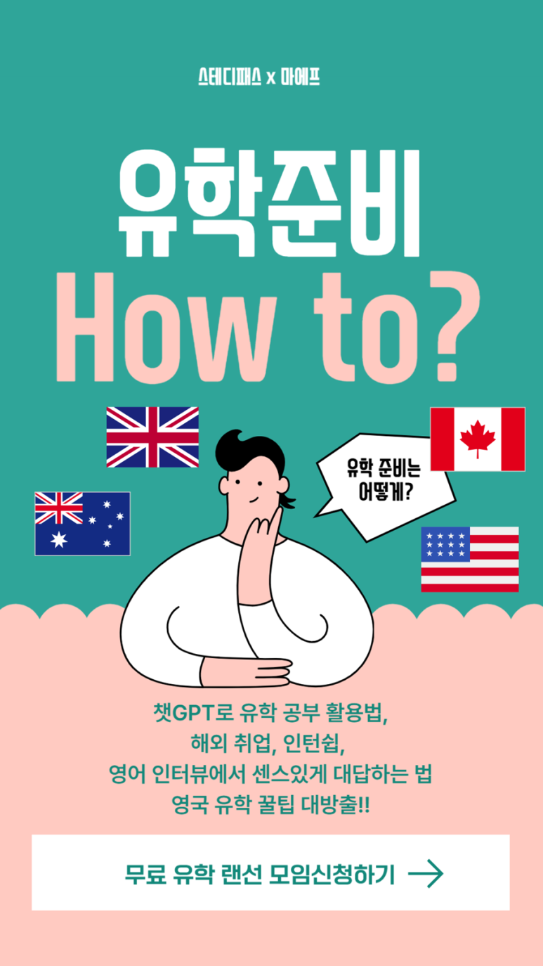 스테디패스 이미지
