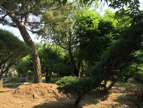 수리별 이미지