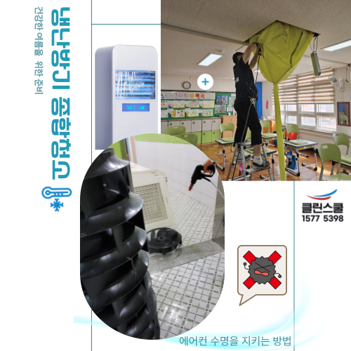 클린스쿨 부산 이미지