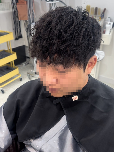 보르미 헤어 이미지