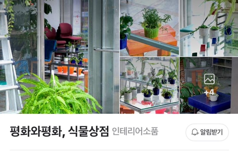 평화와평화;식물상점 이미지