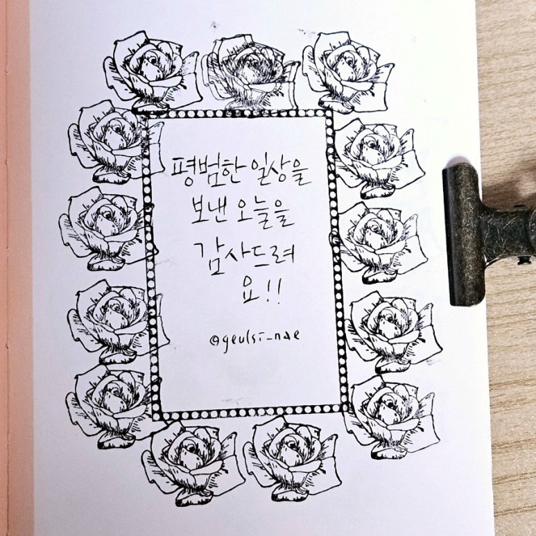 꽃쌤미꽃 이미지