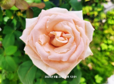 풍산교회 이미지