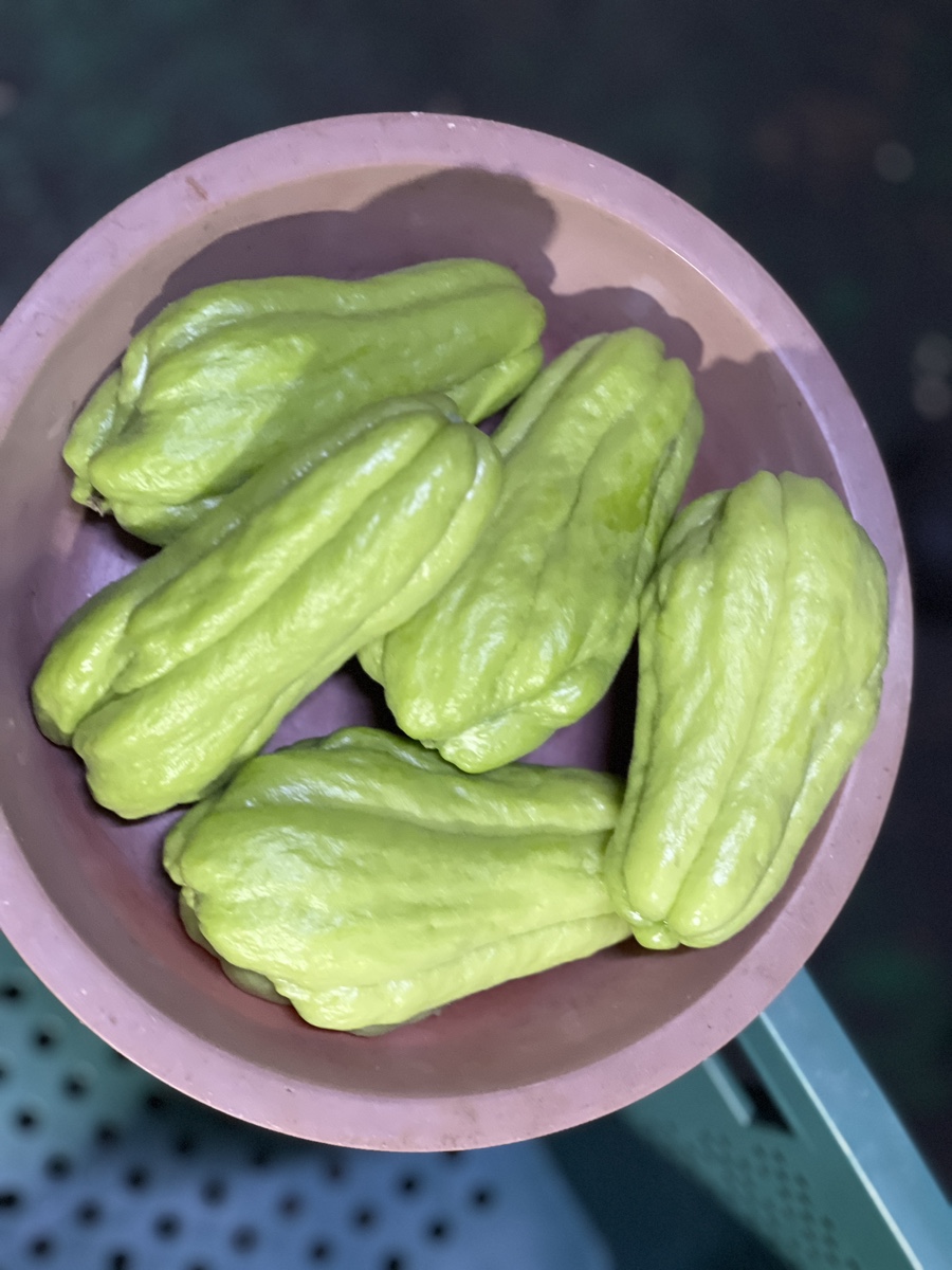 돌산농원 이미지