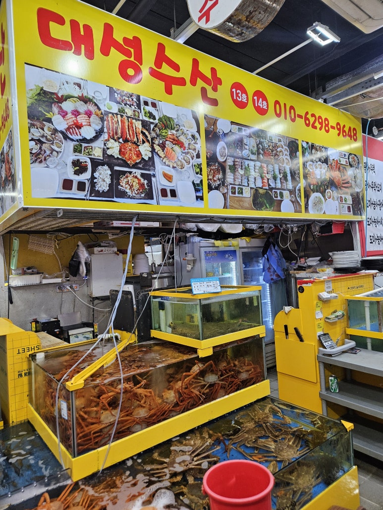 대성수산14호 이미지