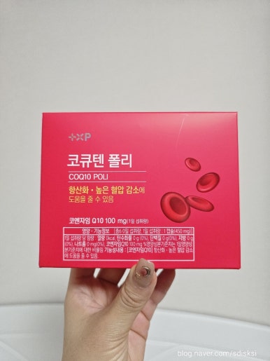 양지헬스 이미지
