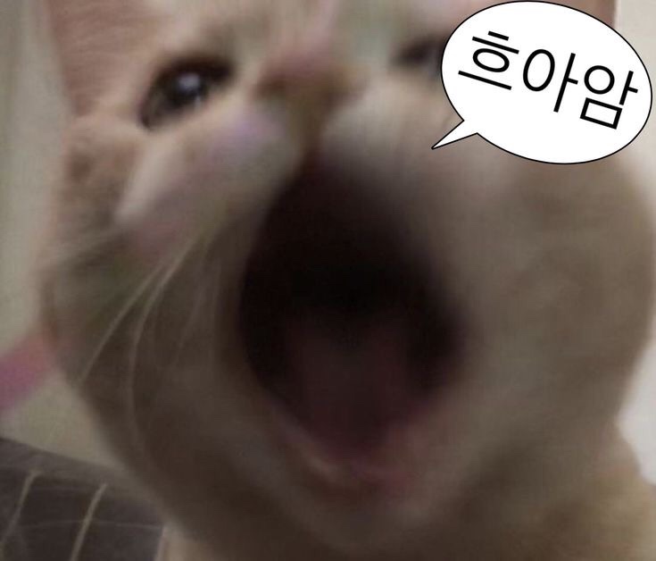 모누 이미지