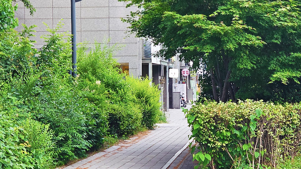 퀸타일아저씨 이미지