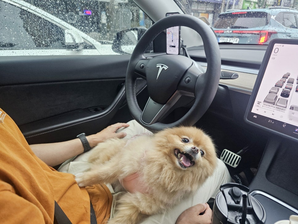나운생곱창 이미지