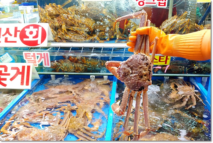 최강수산 이미지