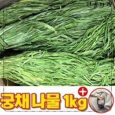 궁채 이미지