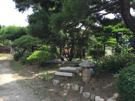 수리별 이미지