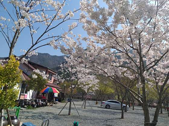솔바람 캠핑장 이미지