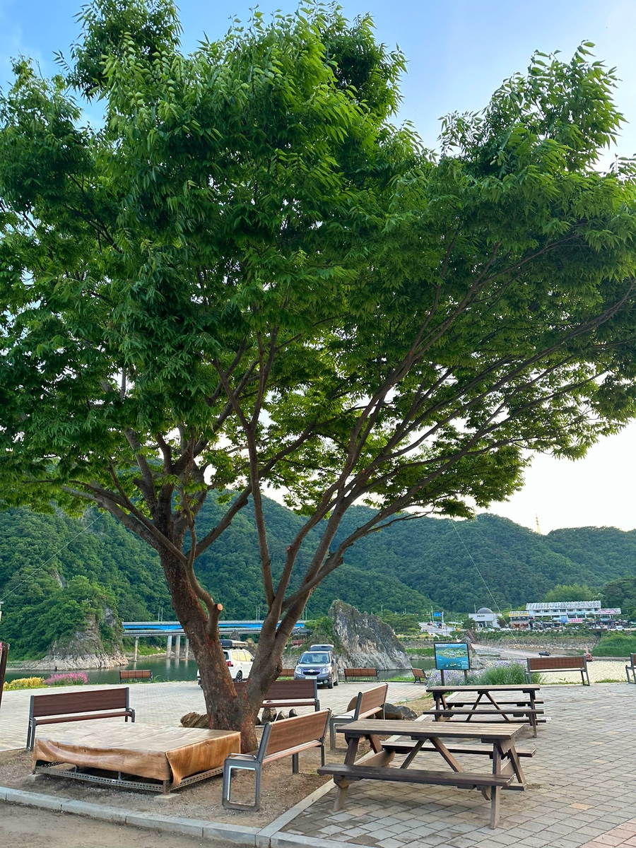 도담정원 이미지