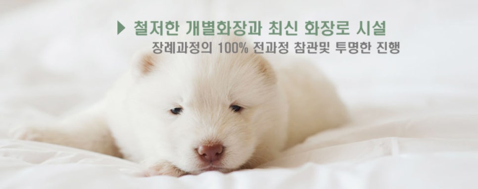 오산 강아지 장례식장 개별 화장 절차 및 비용 안내 — 사진 13
