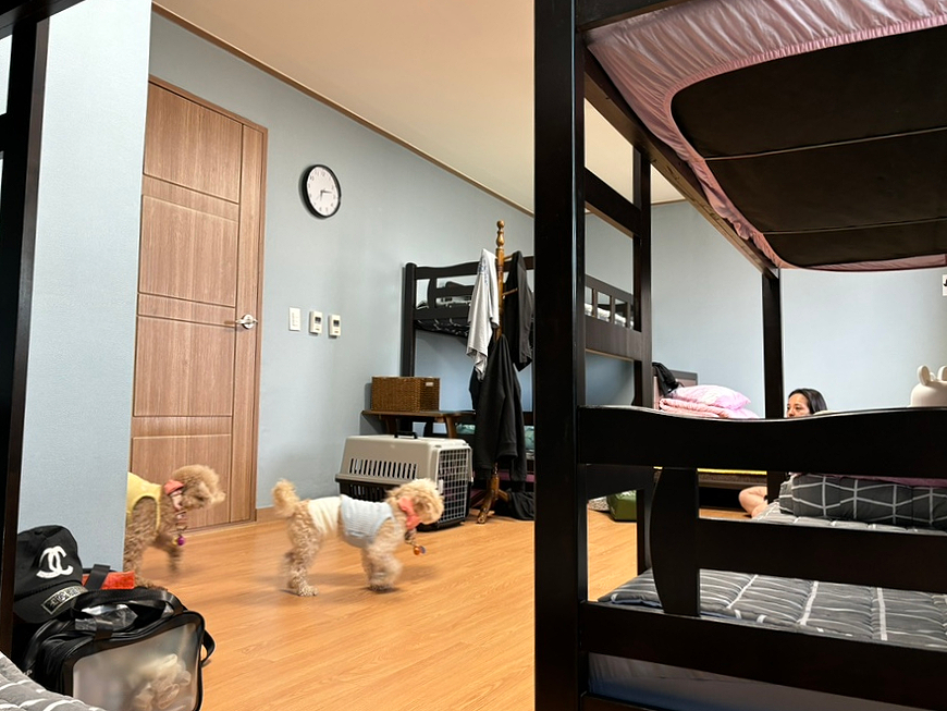 해원다이브리조트 이미지