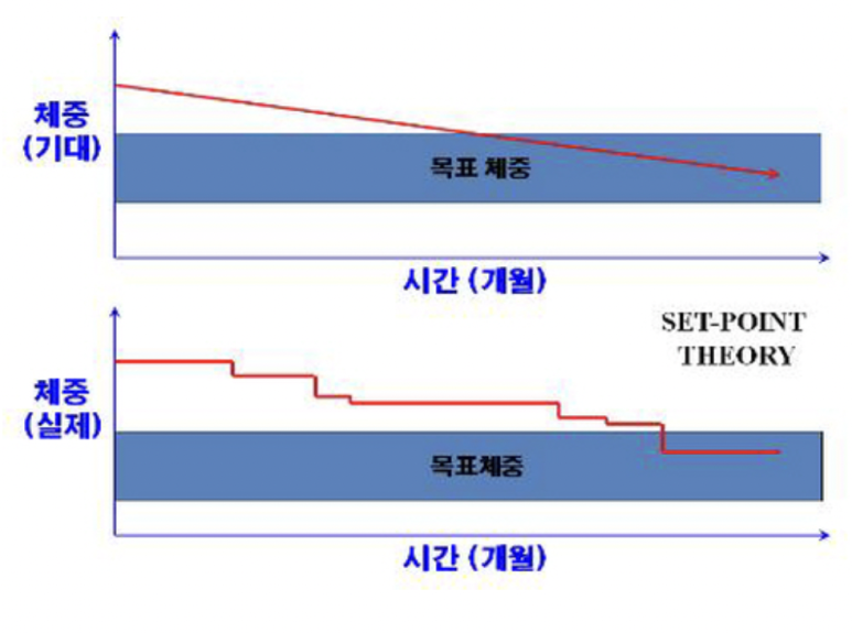 렛츠피티 이미지