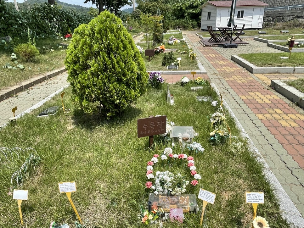 일산 강아지 장례식장: 개별 화장 절차 및 비용 안내 — 사진 18