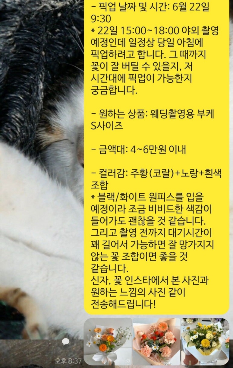 신자;꽃 이미지