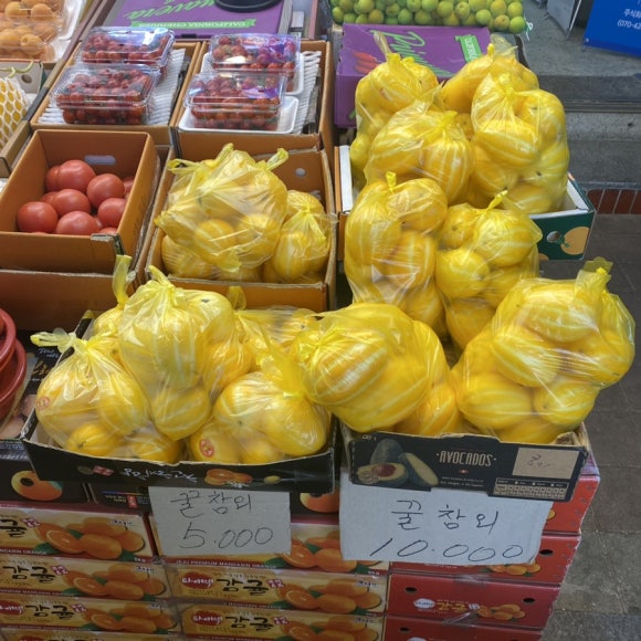 양동청과 이미지