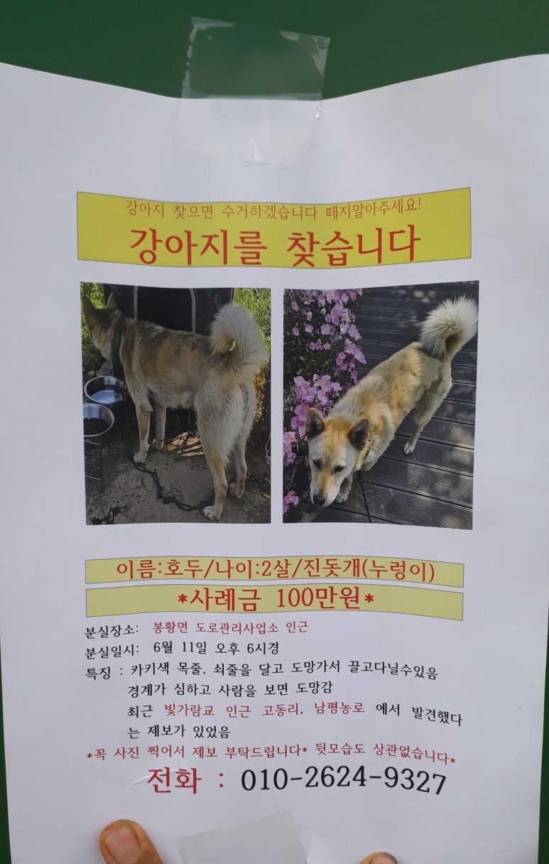 봉황농협 하나로마트 이미지