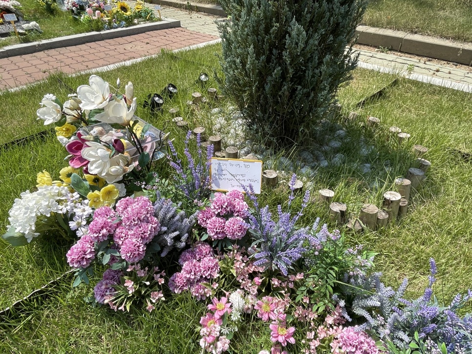 일산 강아지 장례식장: 개별 화장 절차 및 비용 안내 — 사진 14