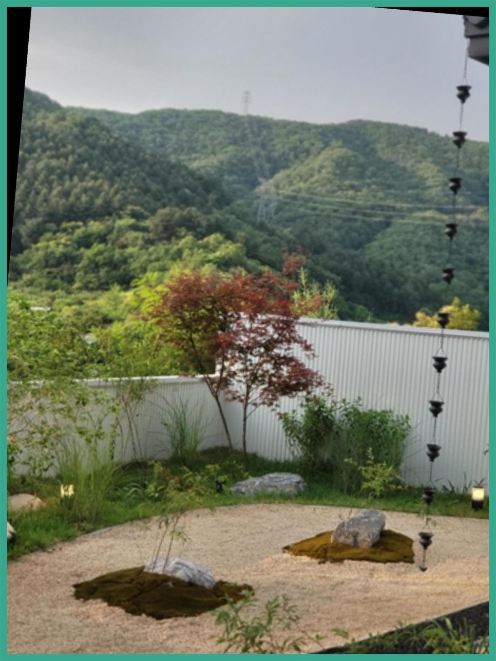 스테이누누 이미지