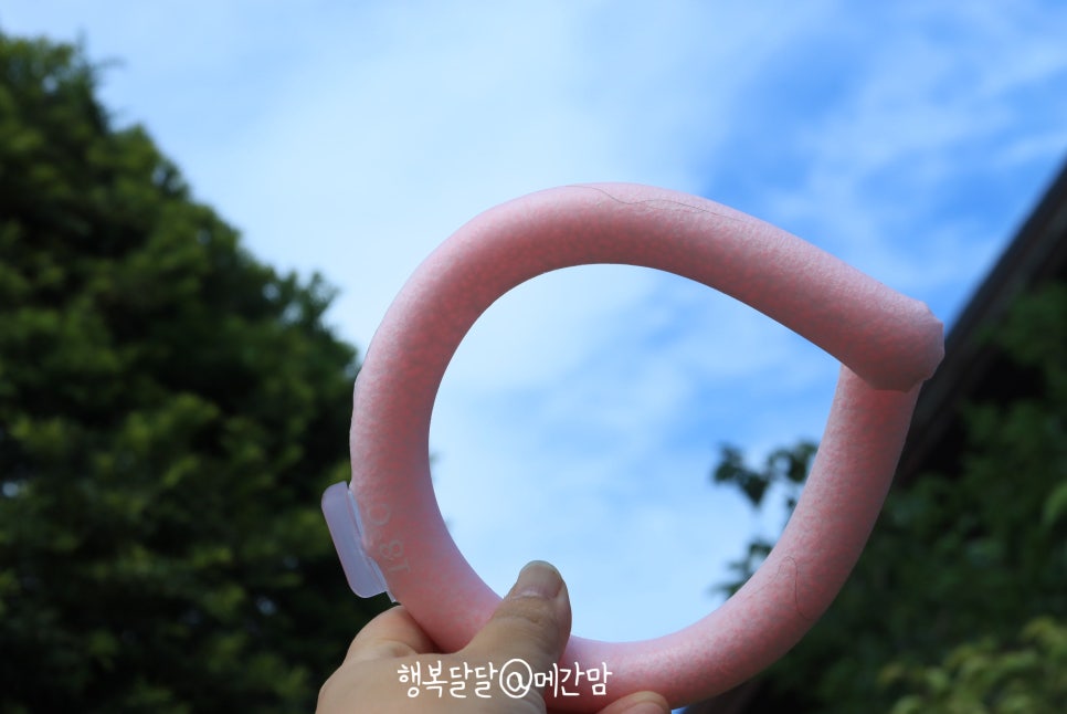 빙아이스 이미지