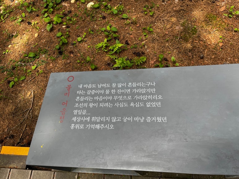 스테이해뜰우 이미지