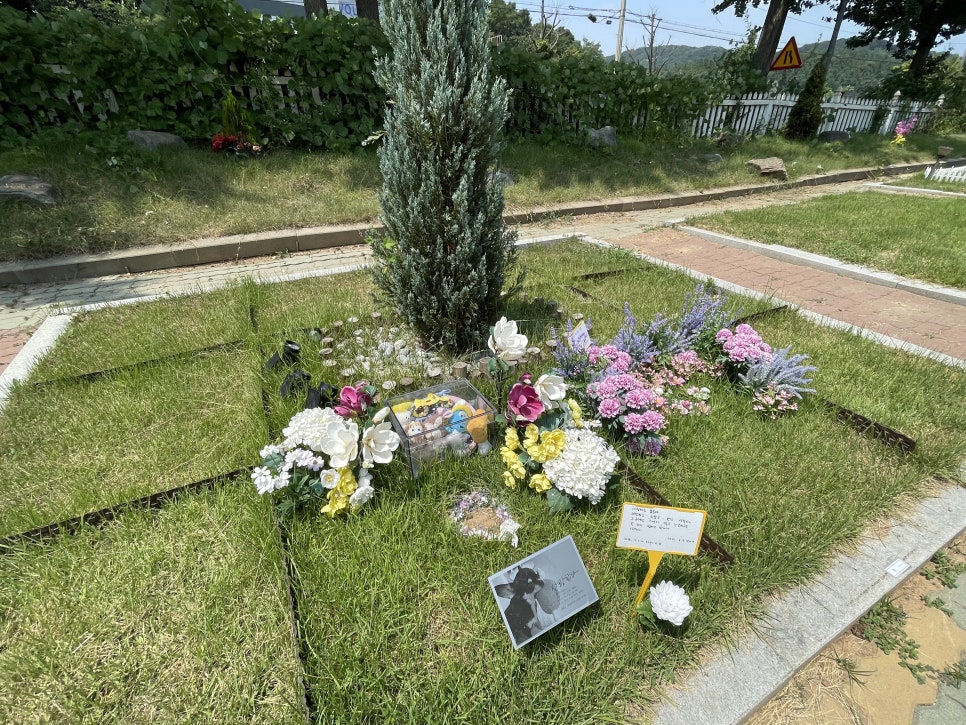 오산 강아지 장례식장 개별 화장 절차 및 비용 안내 — 사진 12