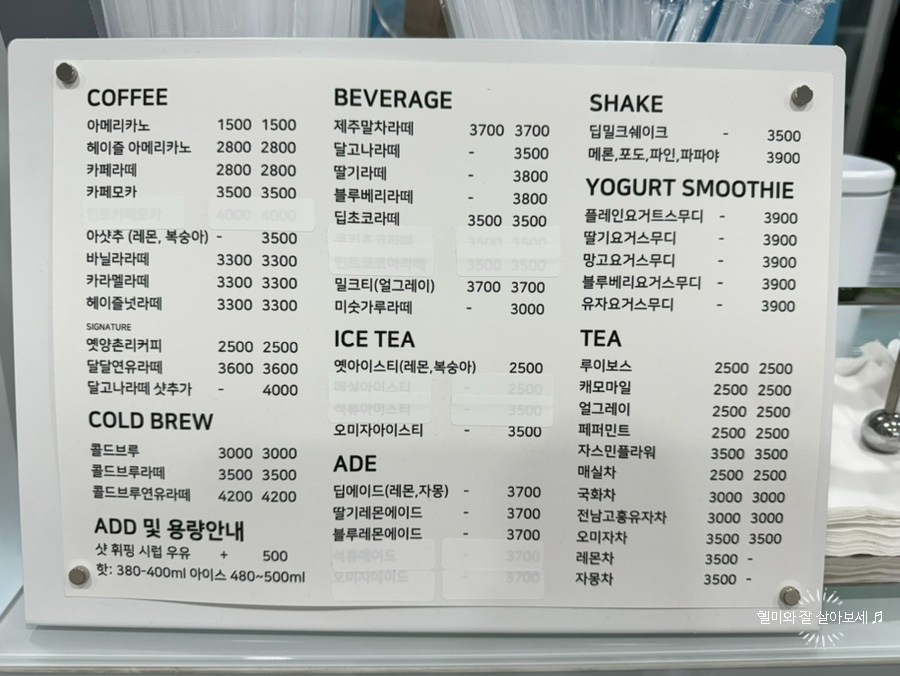 퍼지머그 이미지