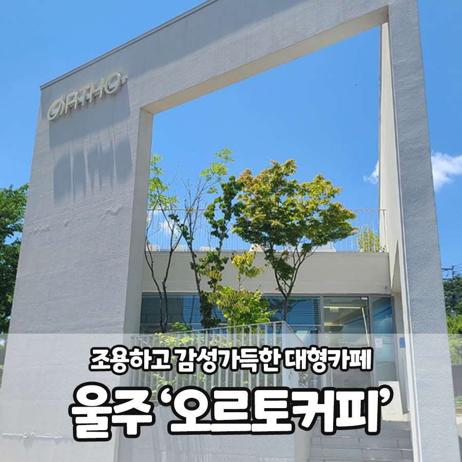 오르토커피(ortho coffee) 이미지