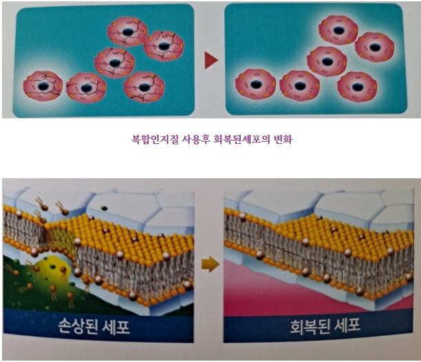 (주)호체 이미지