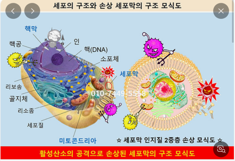 주식회사 호체 이미지