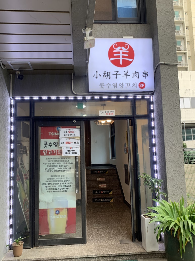 콧수염양꼬치 이미지