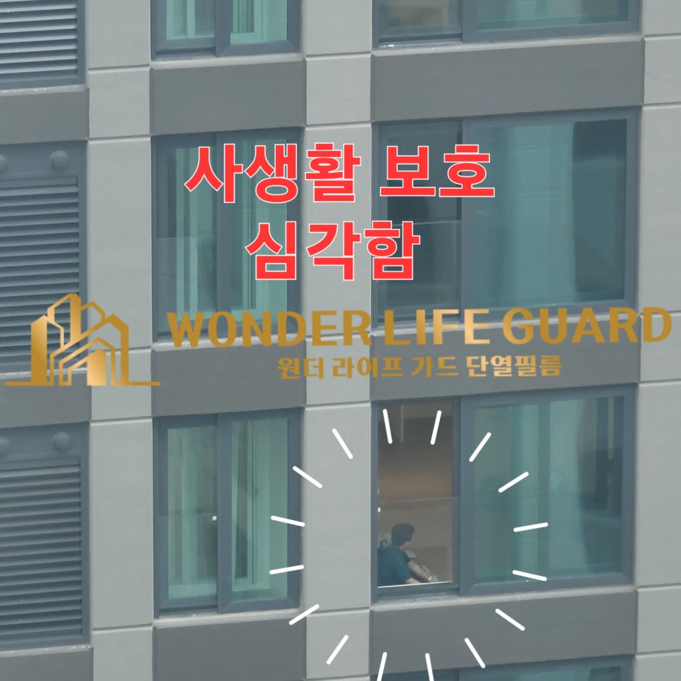 원더 필름 이미지