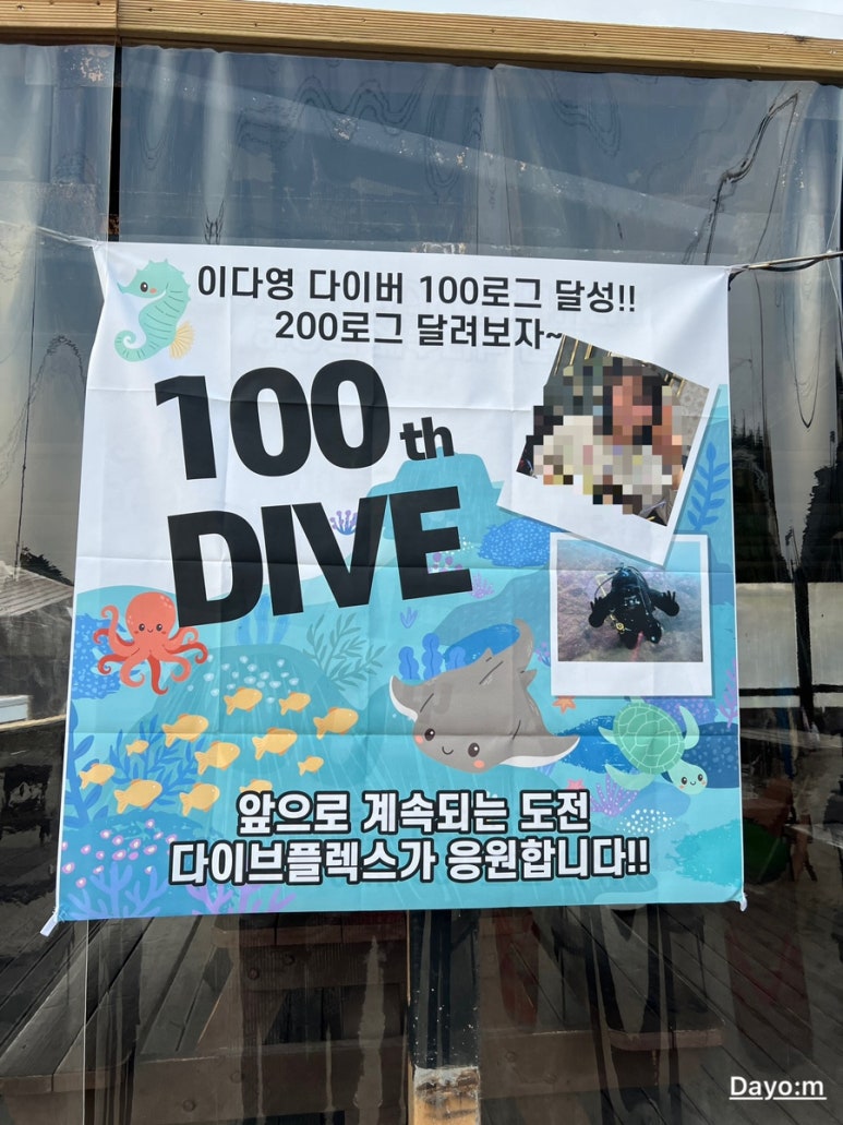 다이브플렉스 이미지