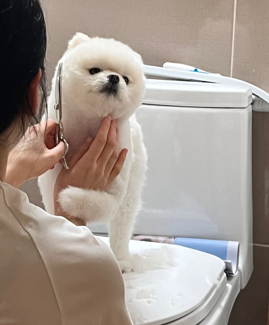 소소랩 이미지