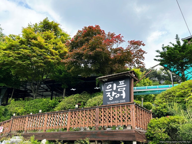 의픔장어 이미지